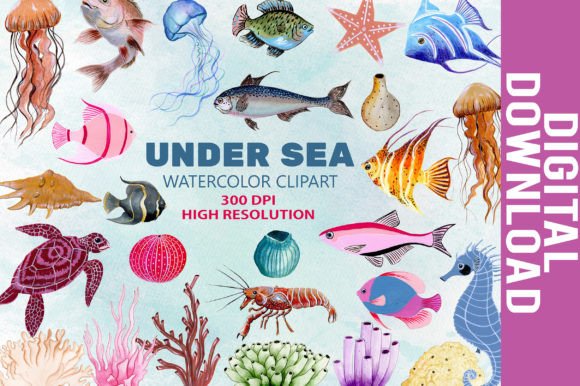 Download Underwater Sea Animal Artwork - Premium Bundle