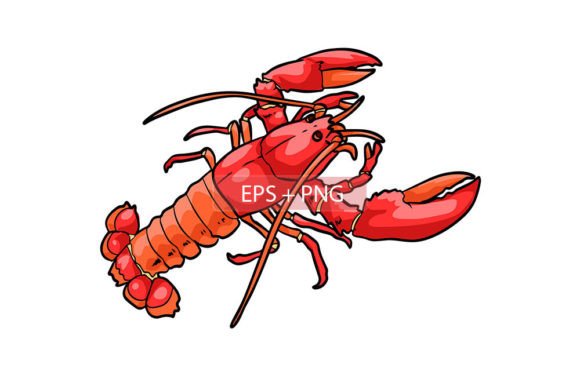 Download Lobster Prawn Sea Animal Illustration - Sea animal Collection